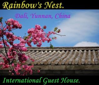 Dali Hostel Yunnan Rainbows Nest China hotel accommodation backpackers guest house apartments