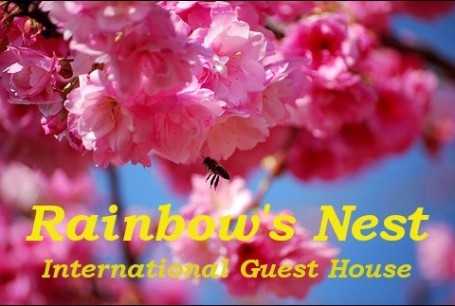 Rainbows Nest Guest House Dali Yunnan China